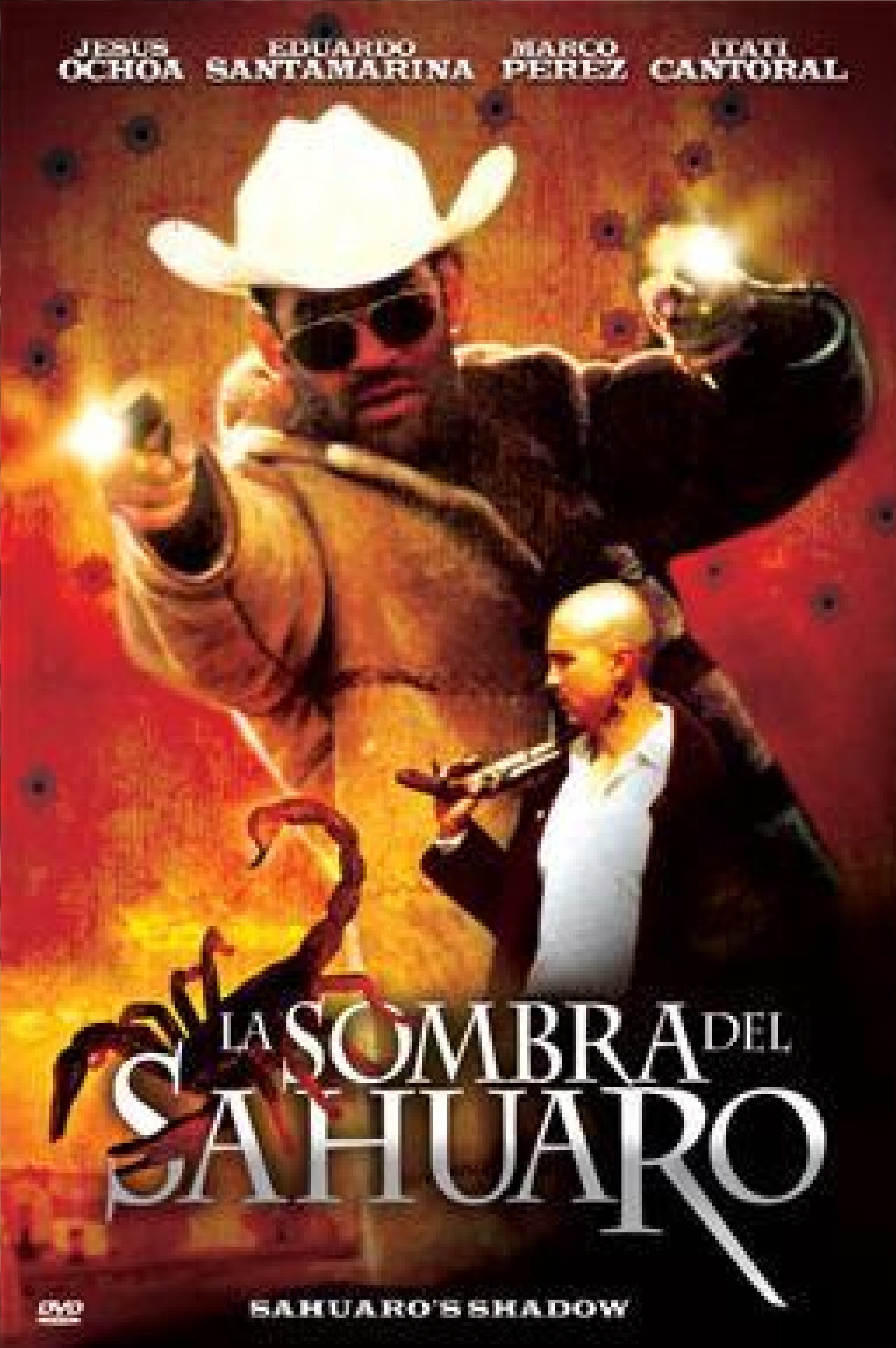 La sombra del sahuaro