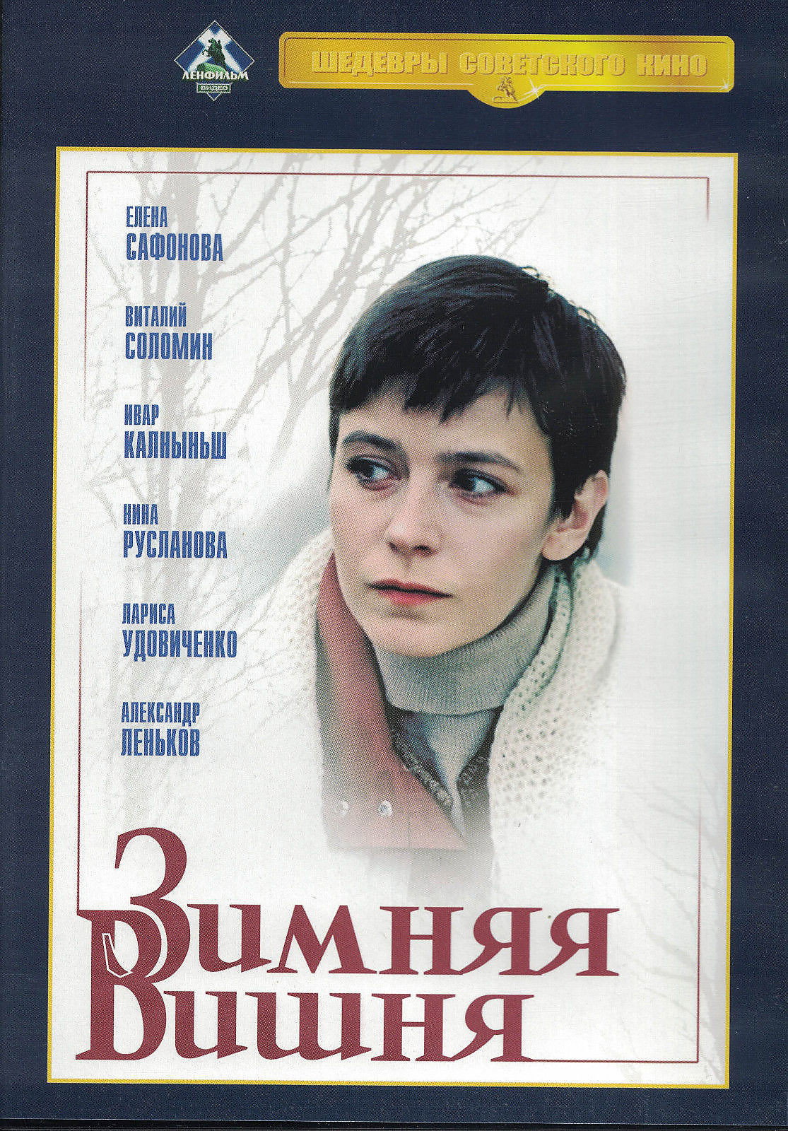 Zimnyaya vishnya