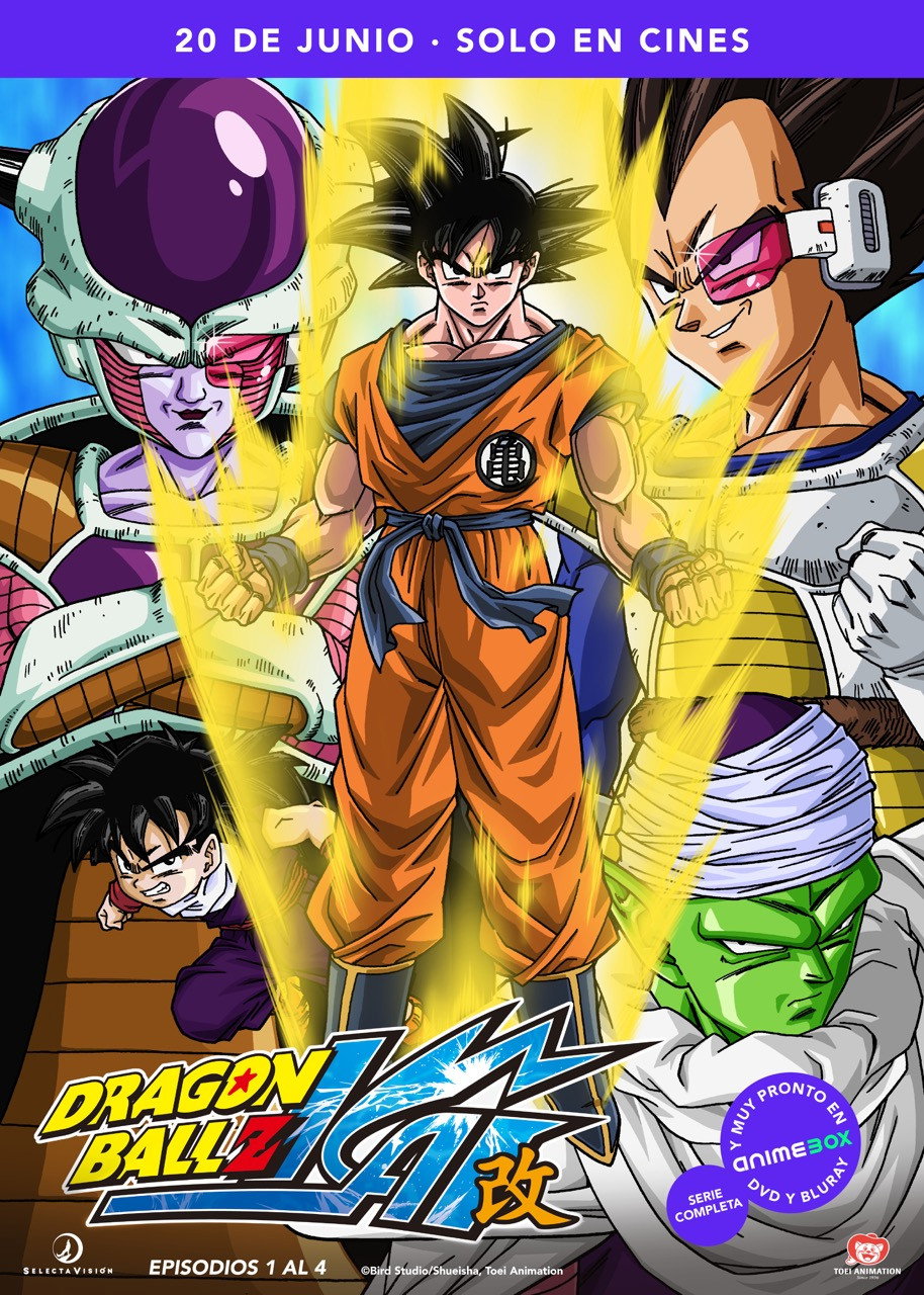 Dragon Ball Z Kai