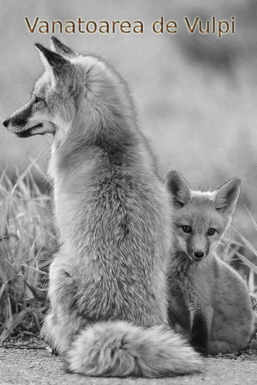 Foxhunting