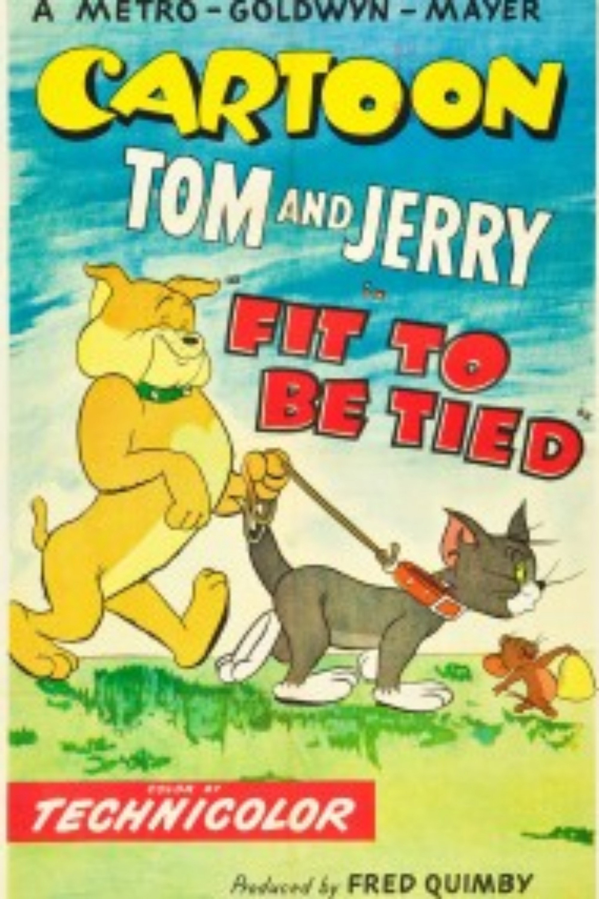 Fit to Be Tied