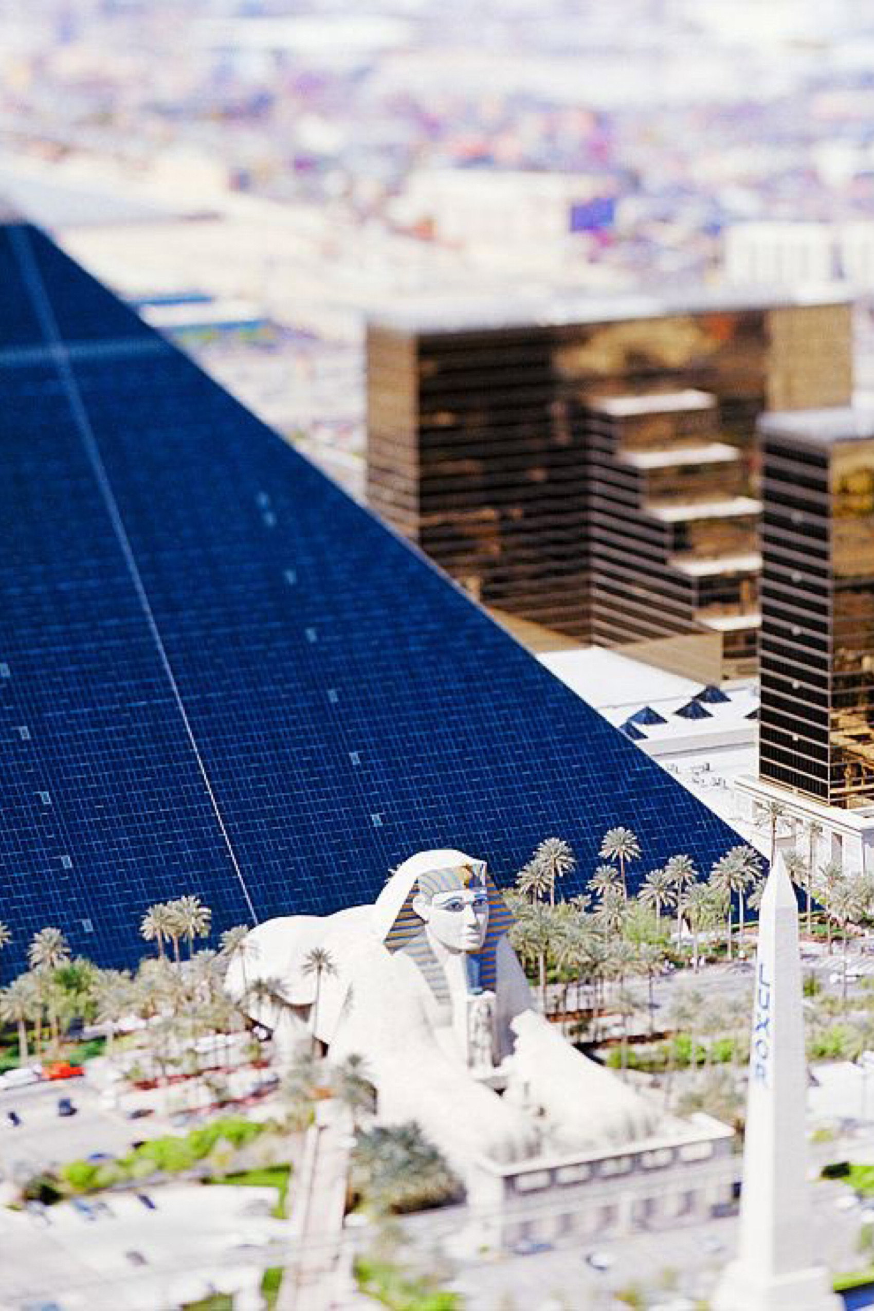 Site Specific: Las Vegas 05