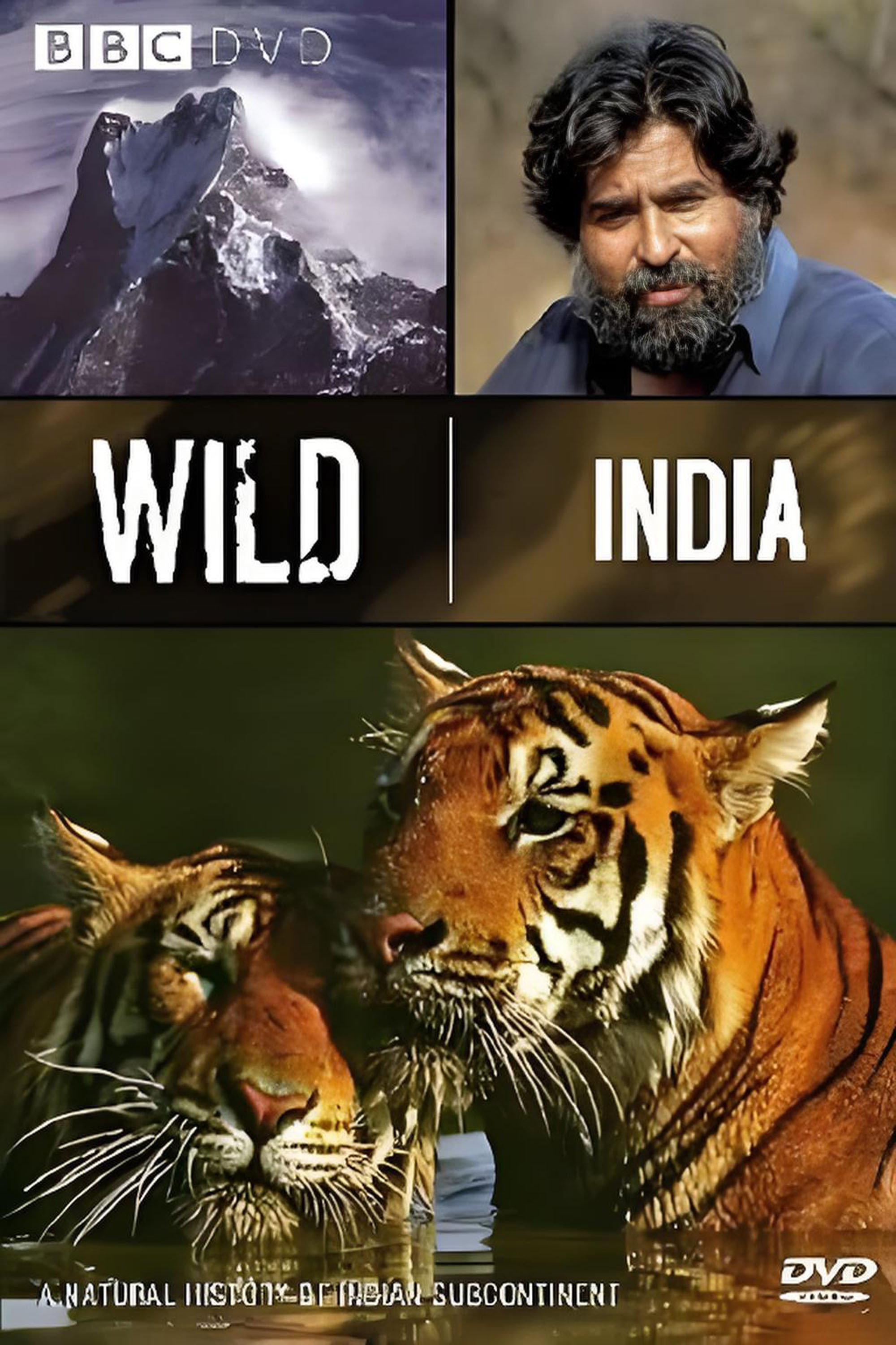 Land of the Tiger