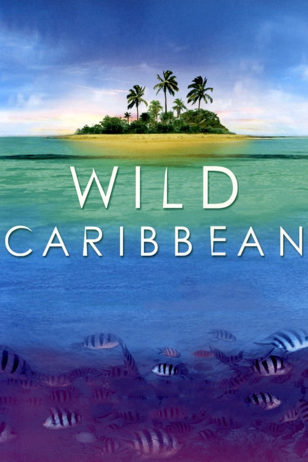 Wild Caribbean
