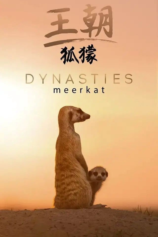 Meerkat: A Dynasties Special