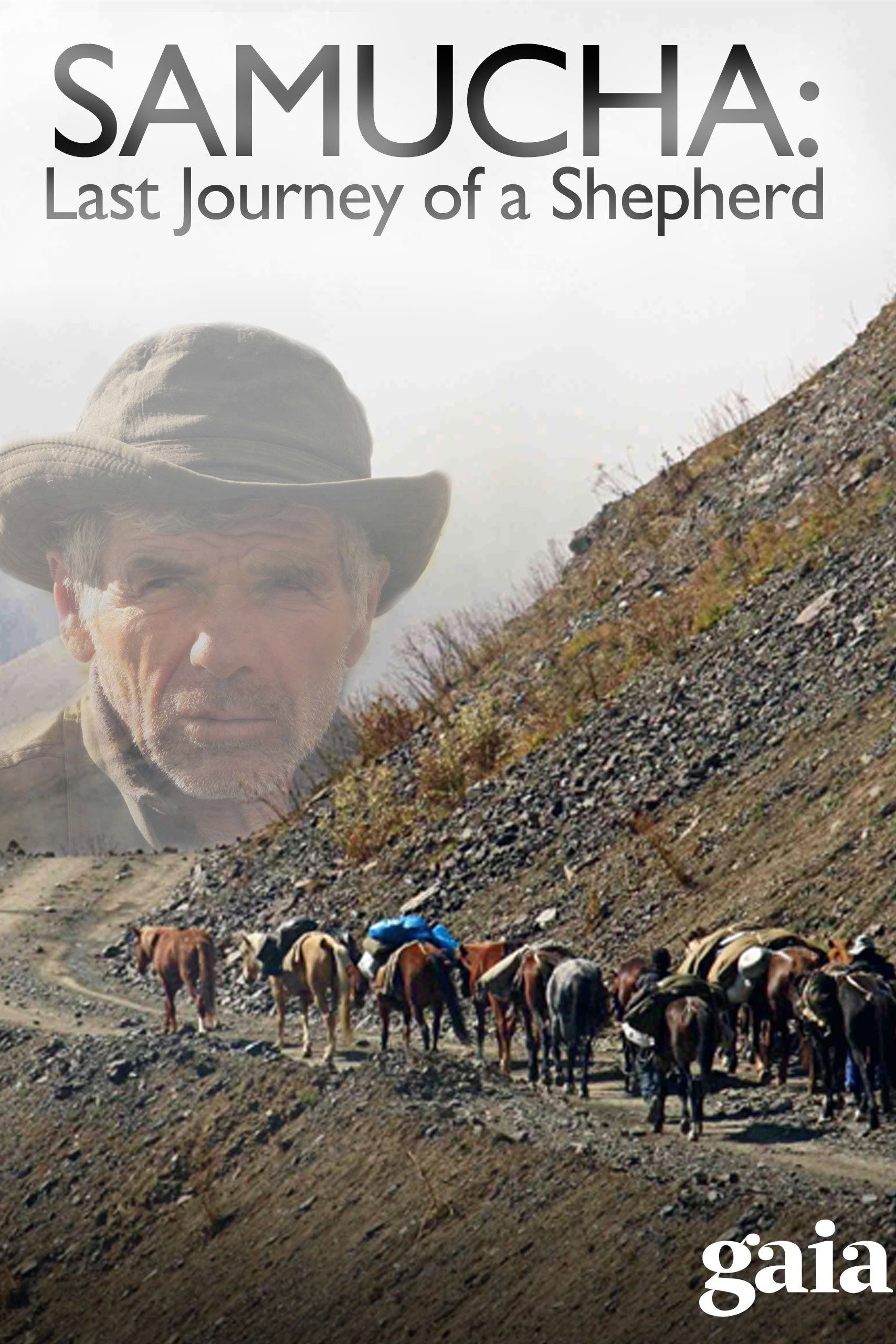 Samucha: Last Journey of a Shepherd