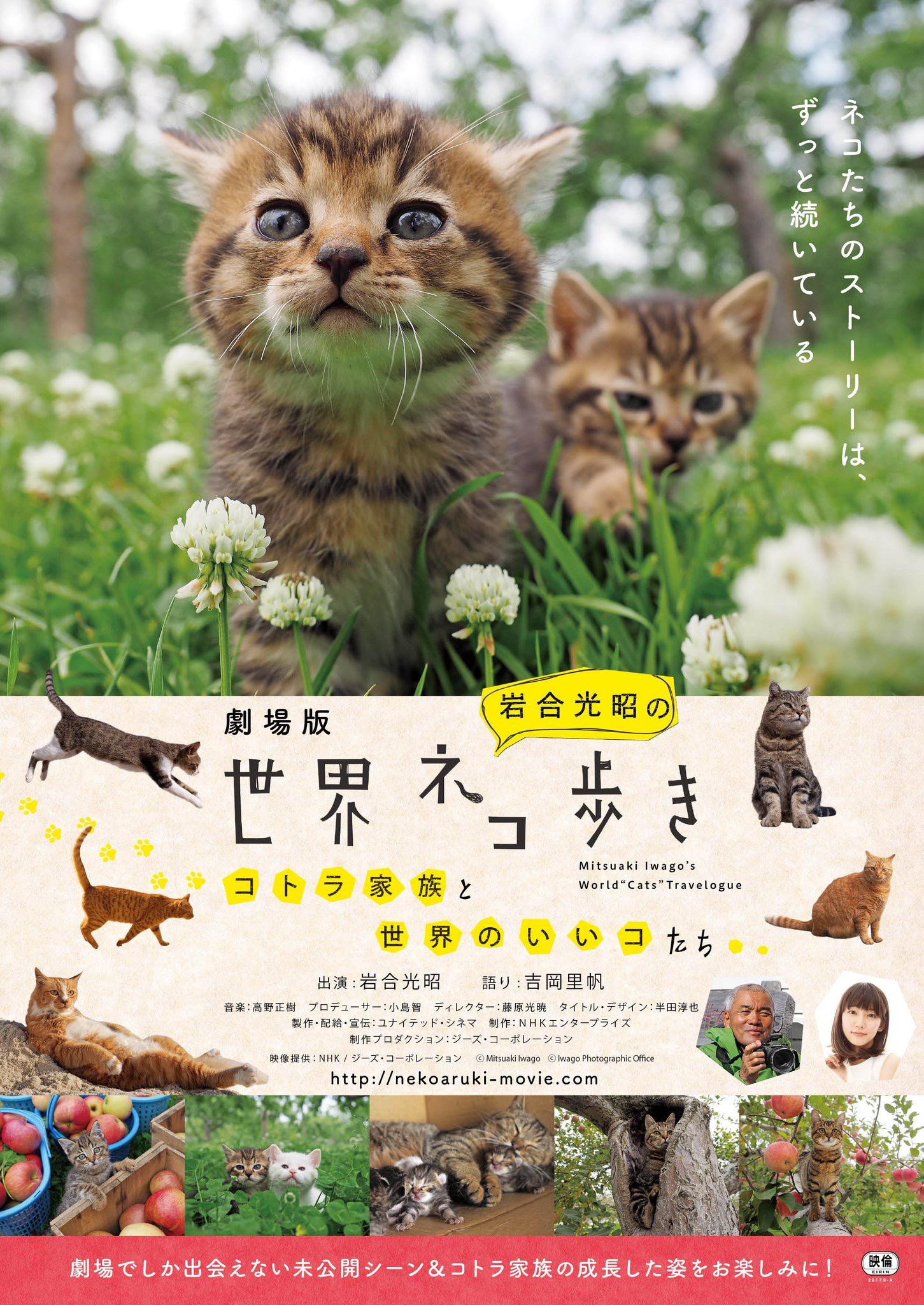 Mitsuaki Iwago's World “Cats” Travelogue