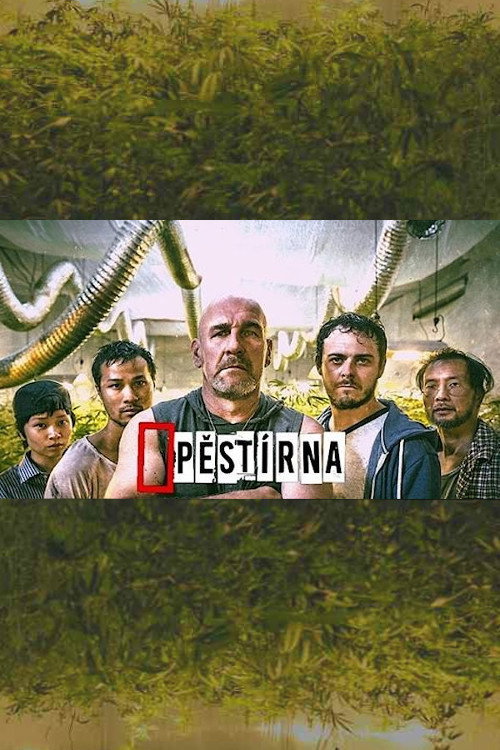 Pestírna