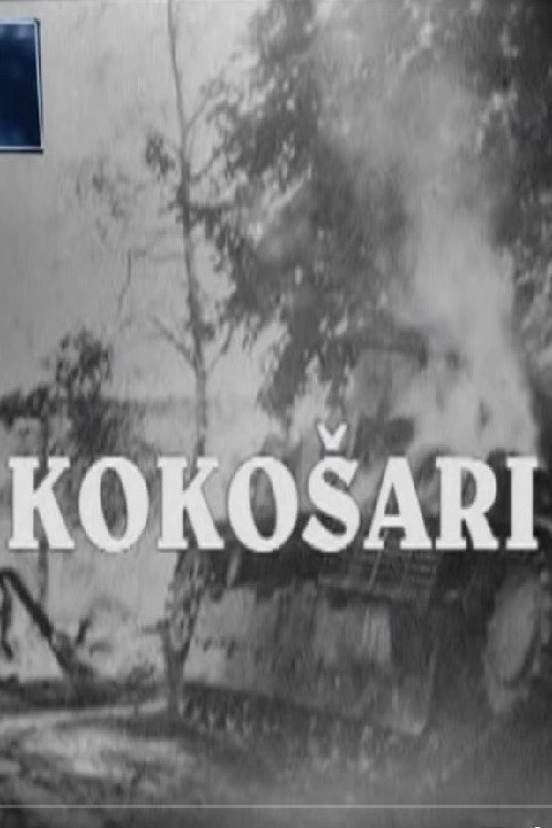 Kokosari