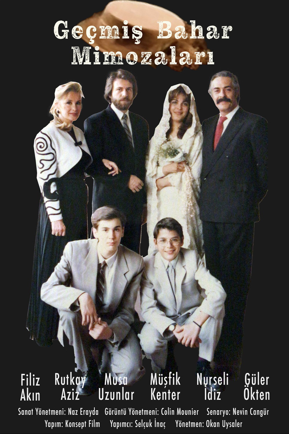 Geçmis Bahar Mimozalari