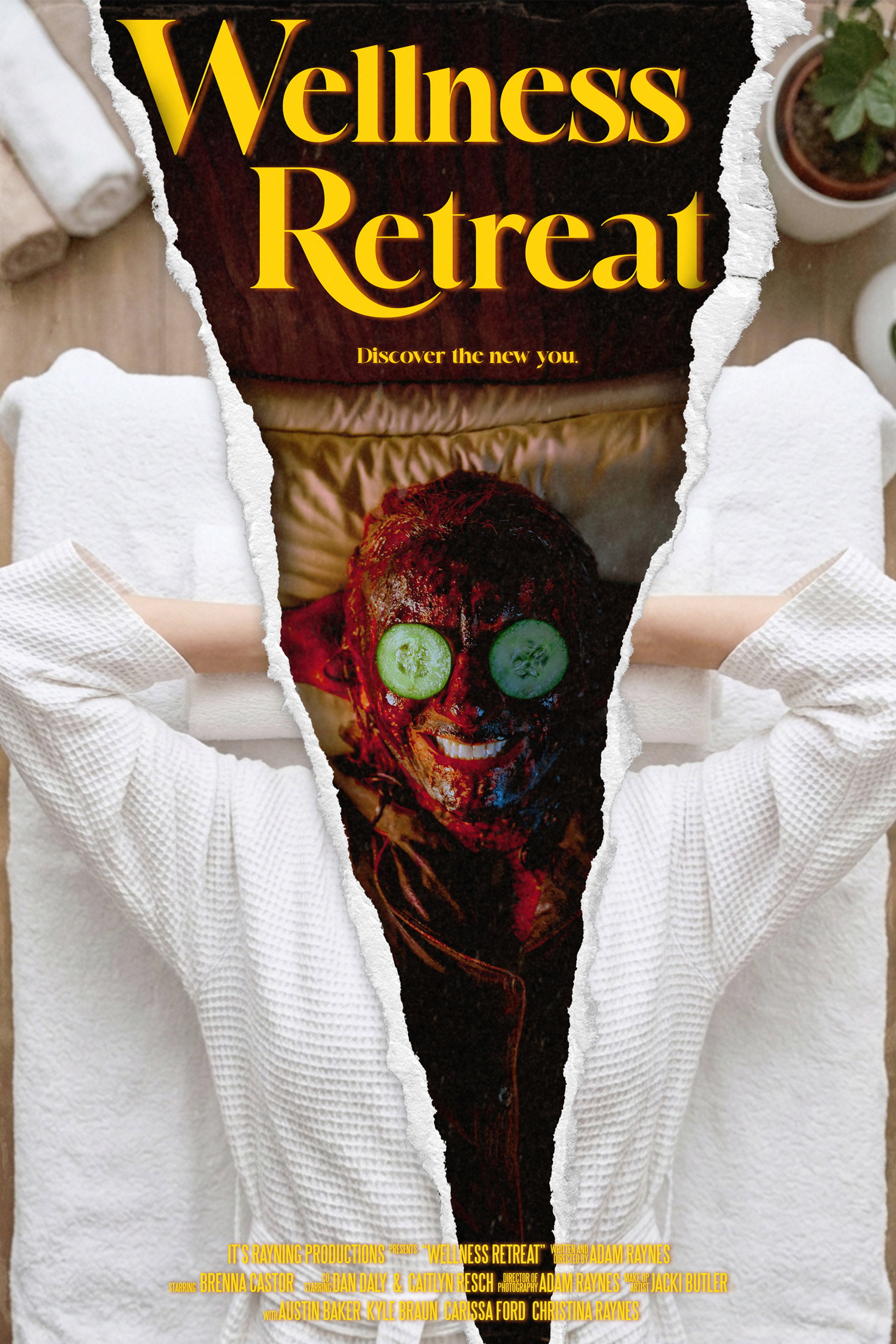 Wellness Retreat Poster