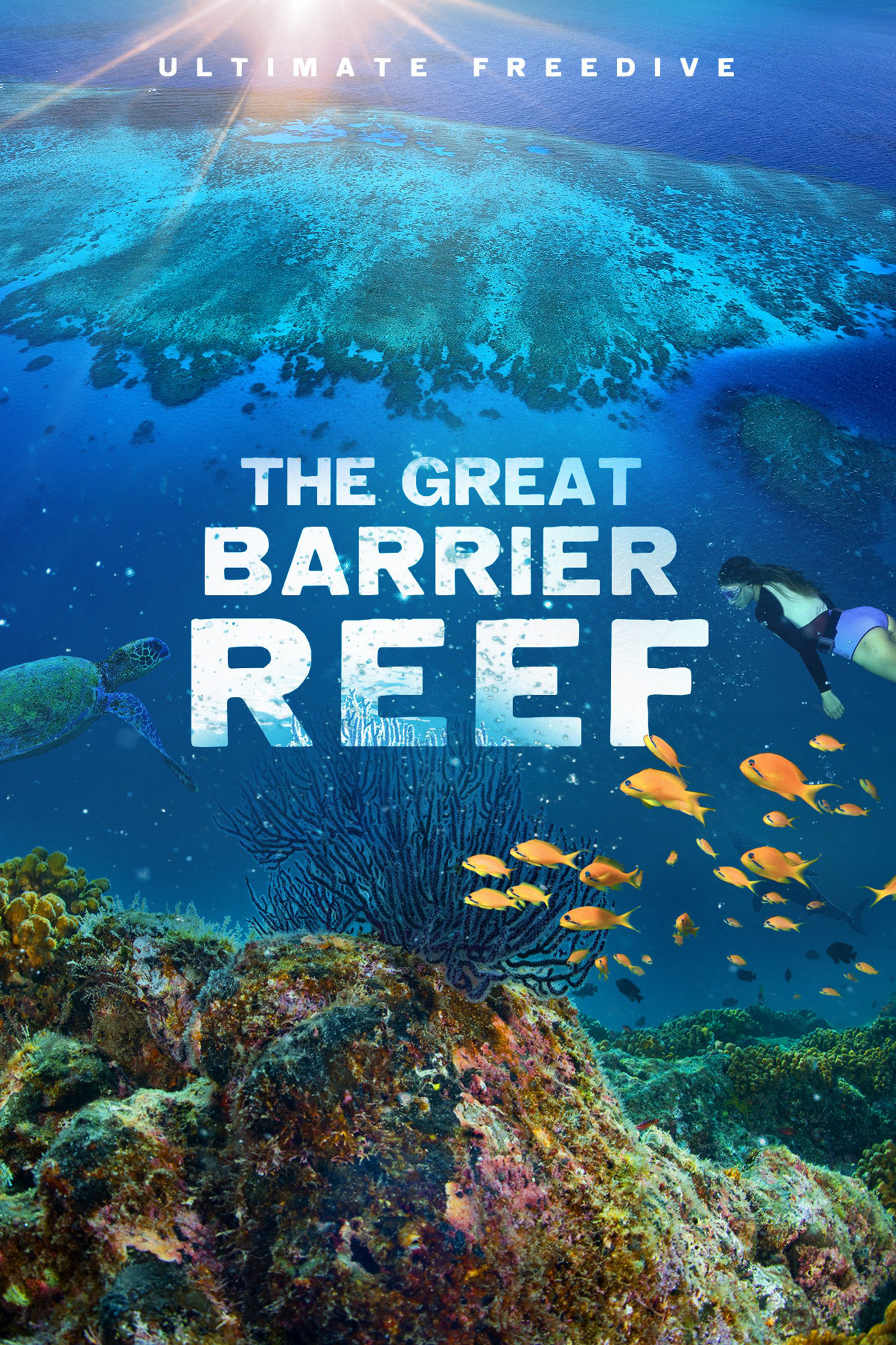Great Barrier Reef 4K