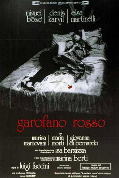 Il garofano rosso
