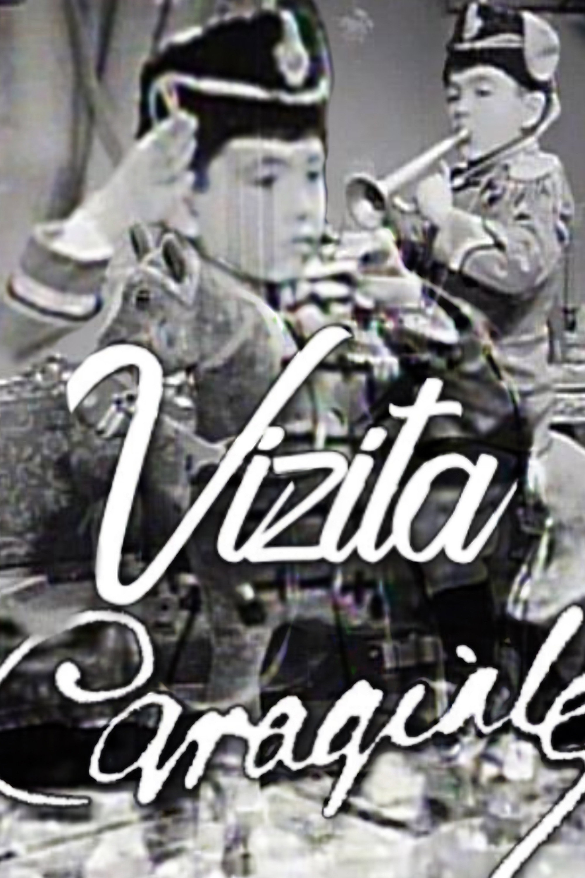 Vizita