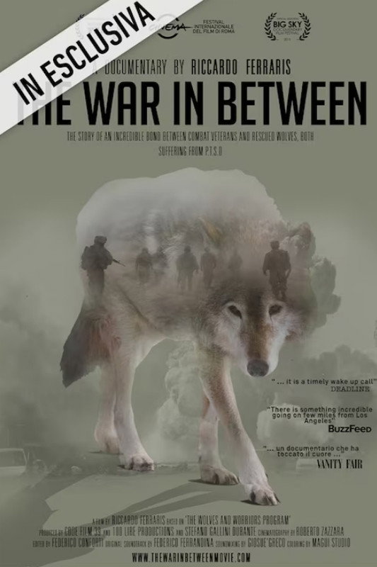 The War in Between