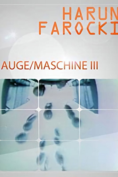 Auge/Maschine III
