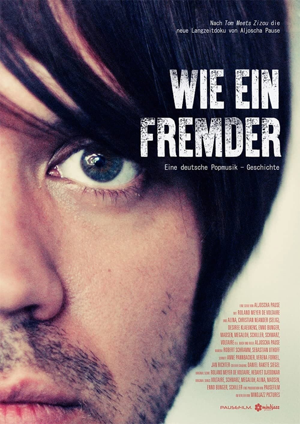 Wie Ein Fremder: Eine Deutsche Popmusik-Geschichte