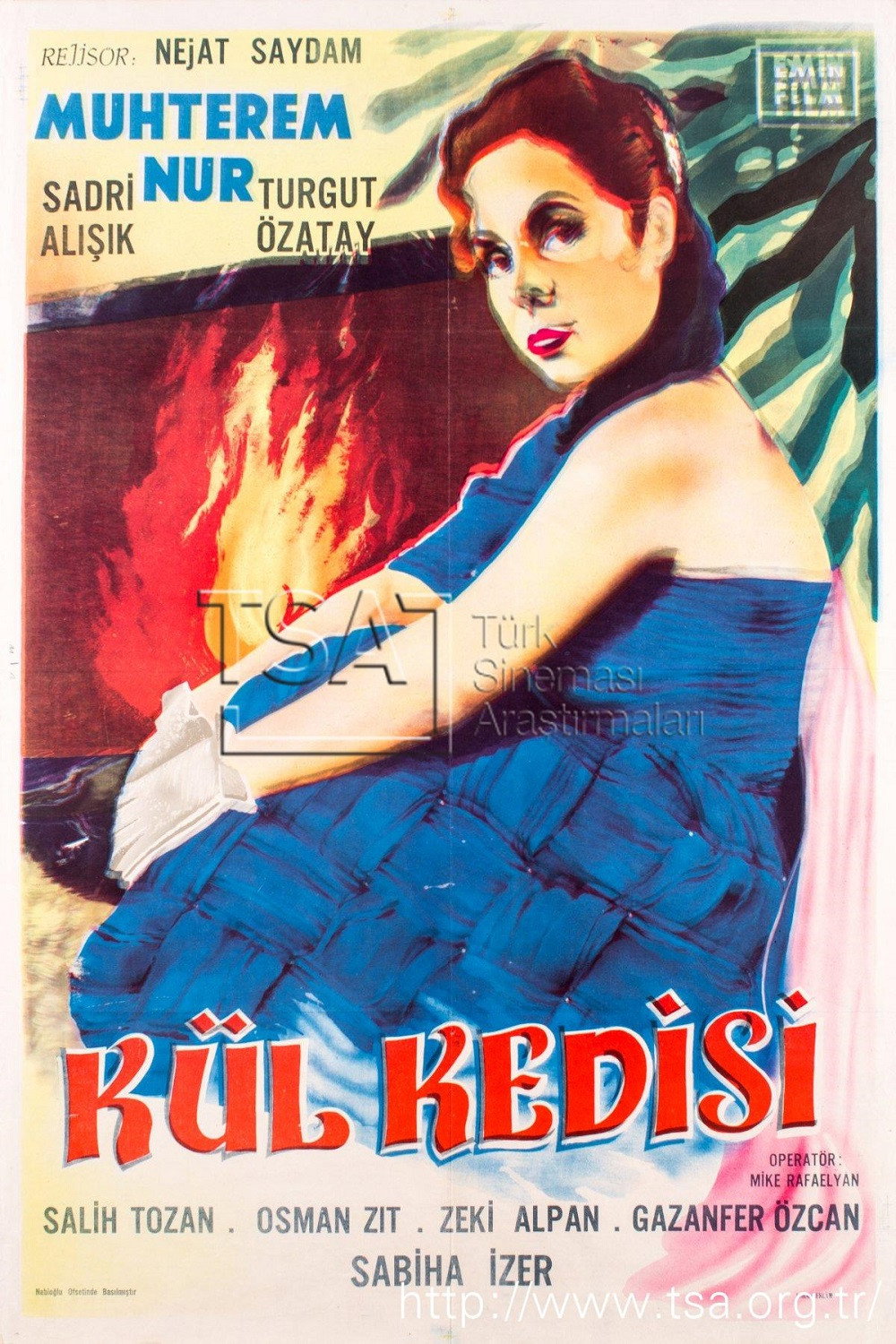 Kül kedisi