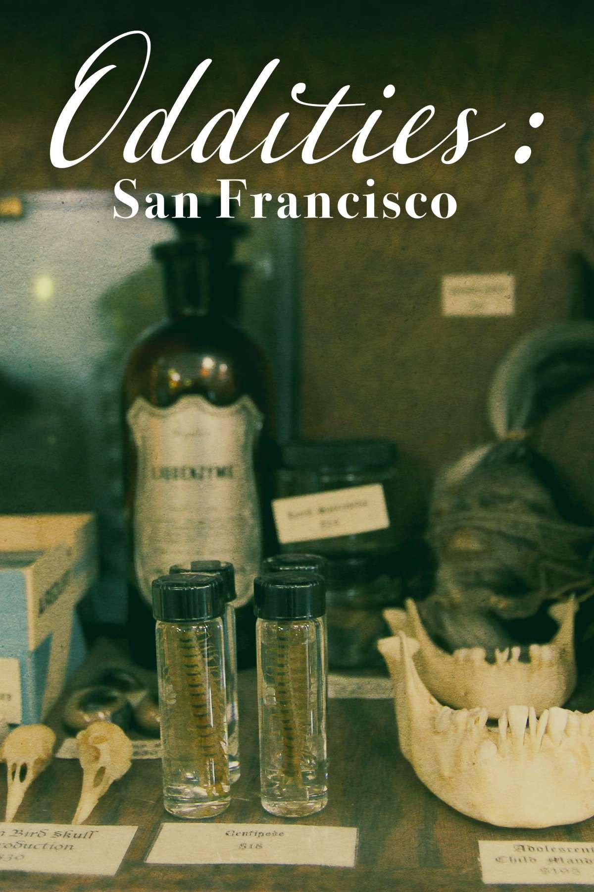 Oddities San Francisco
