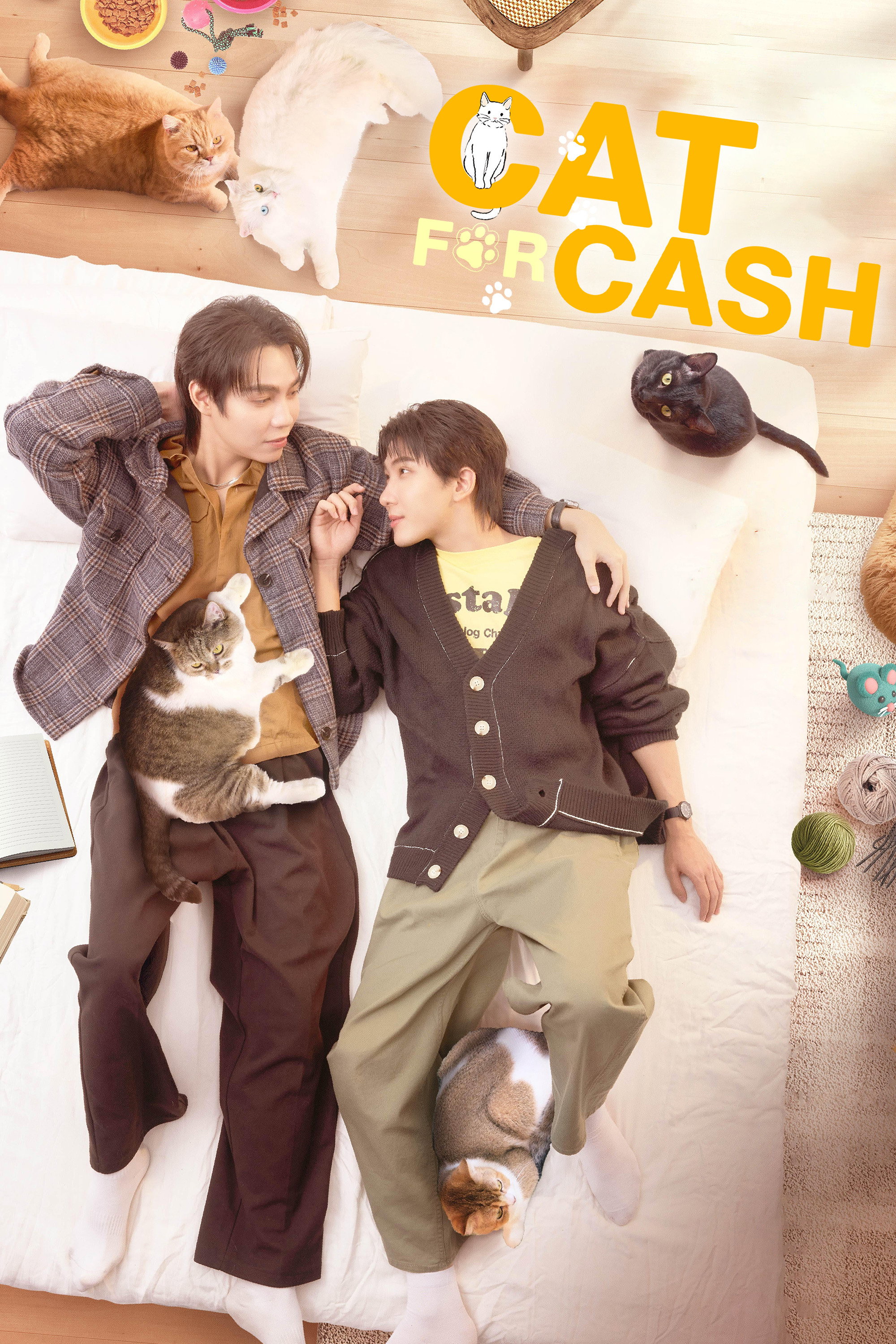 Cat for Cash