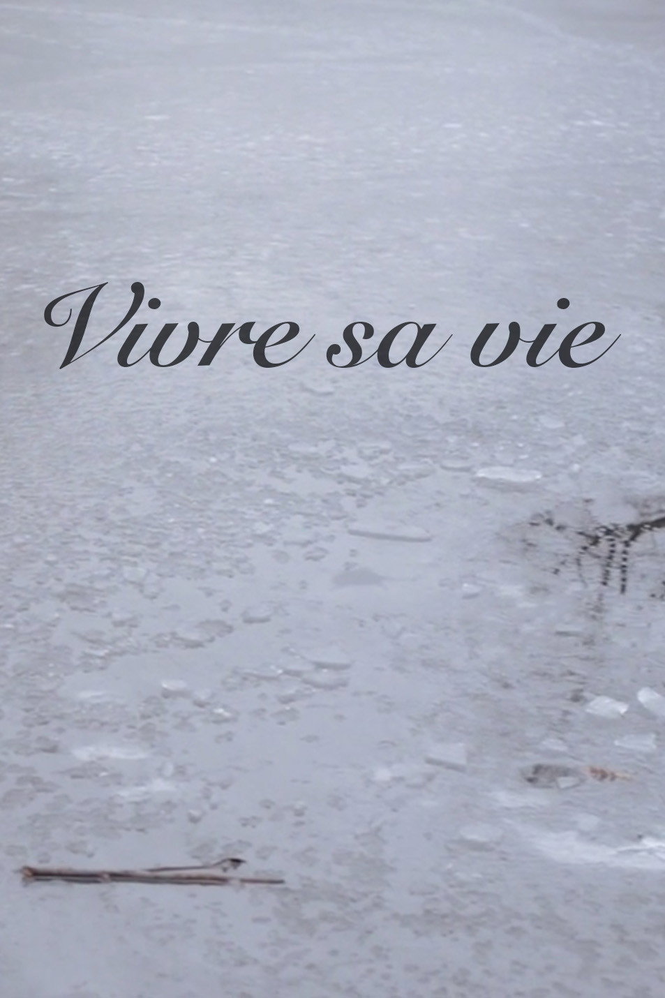 Vivre sa vie