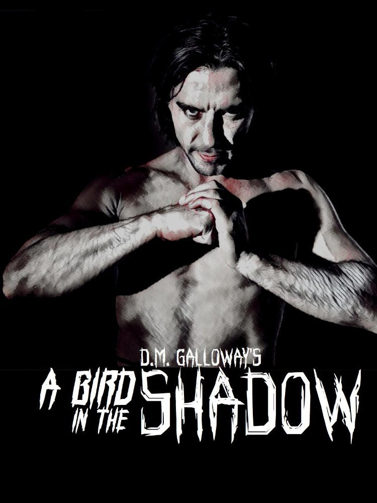 A Bird in the Shadow