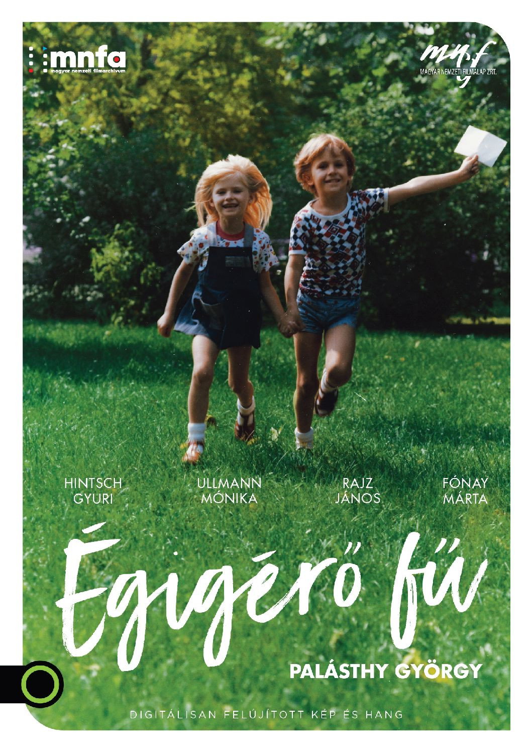 Égigérö fü