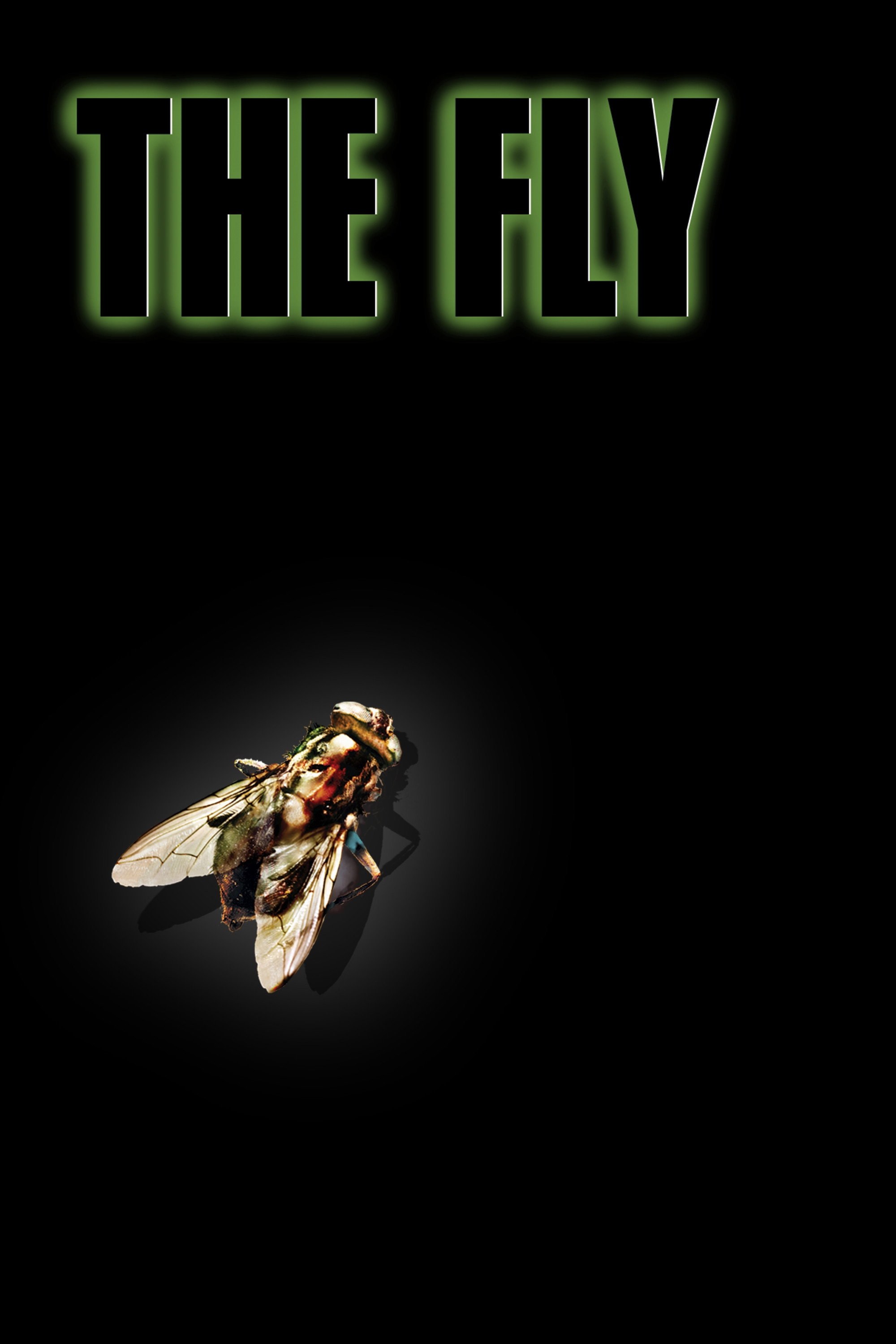 The Fly
