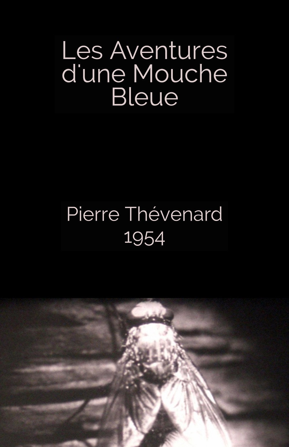Les aventures d'une mouche bleue