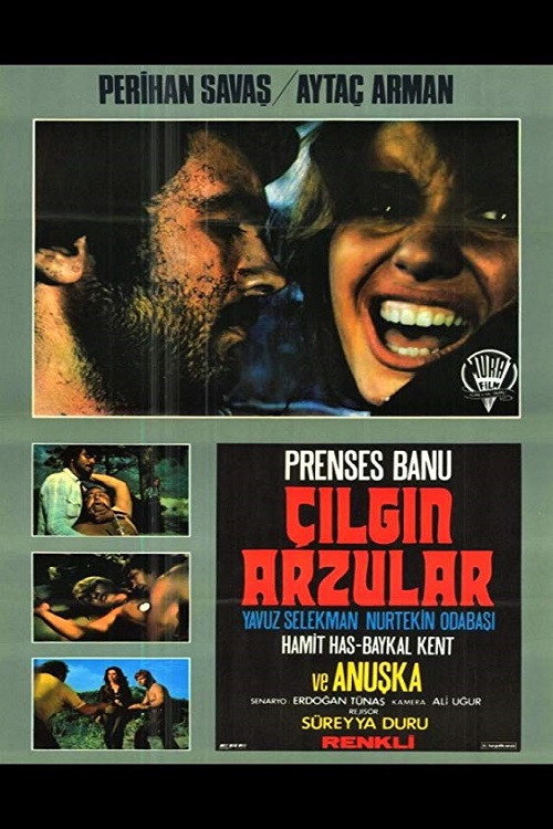 Çilgin Arzular