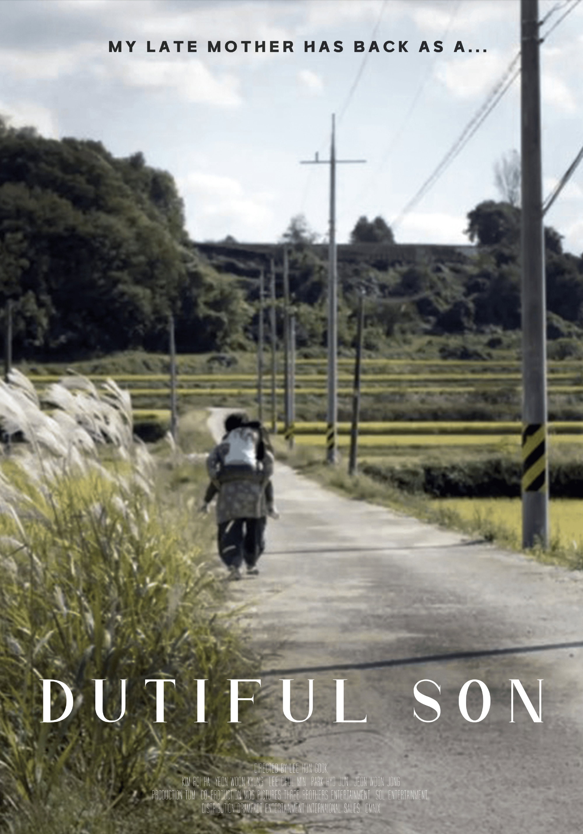 A Good Son