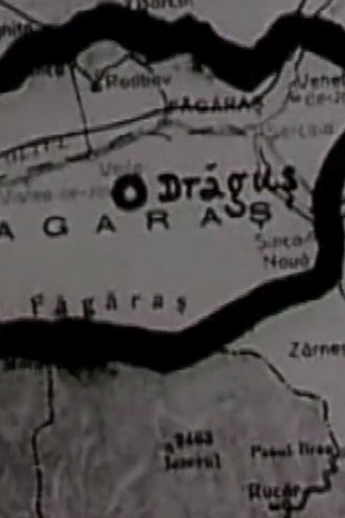 Dragus