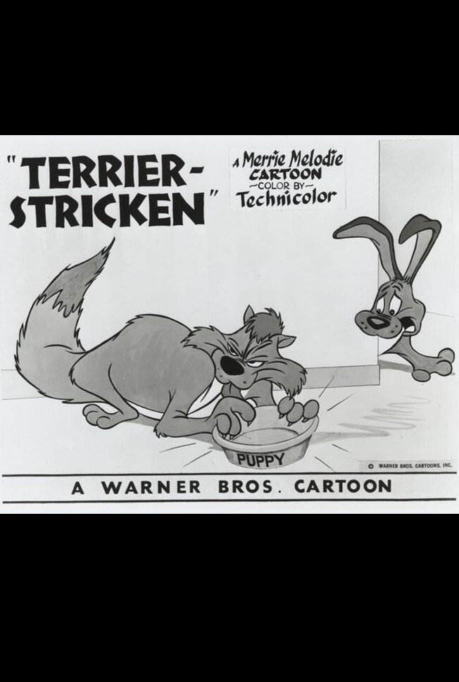 Terrier-Stricken