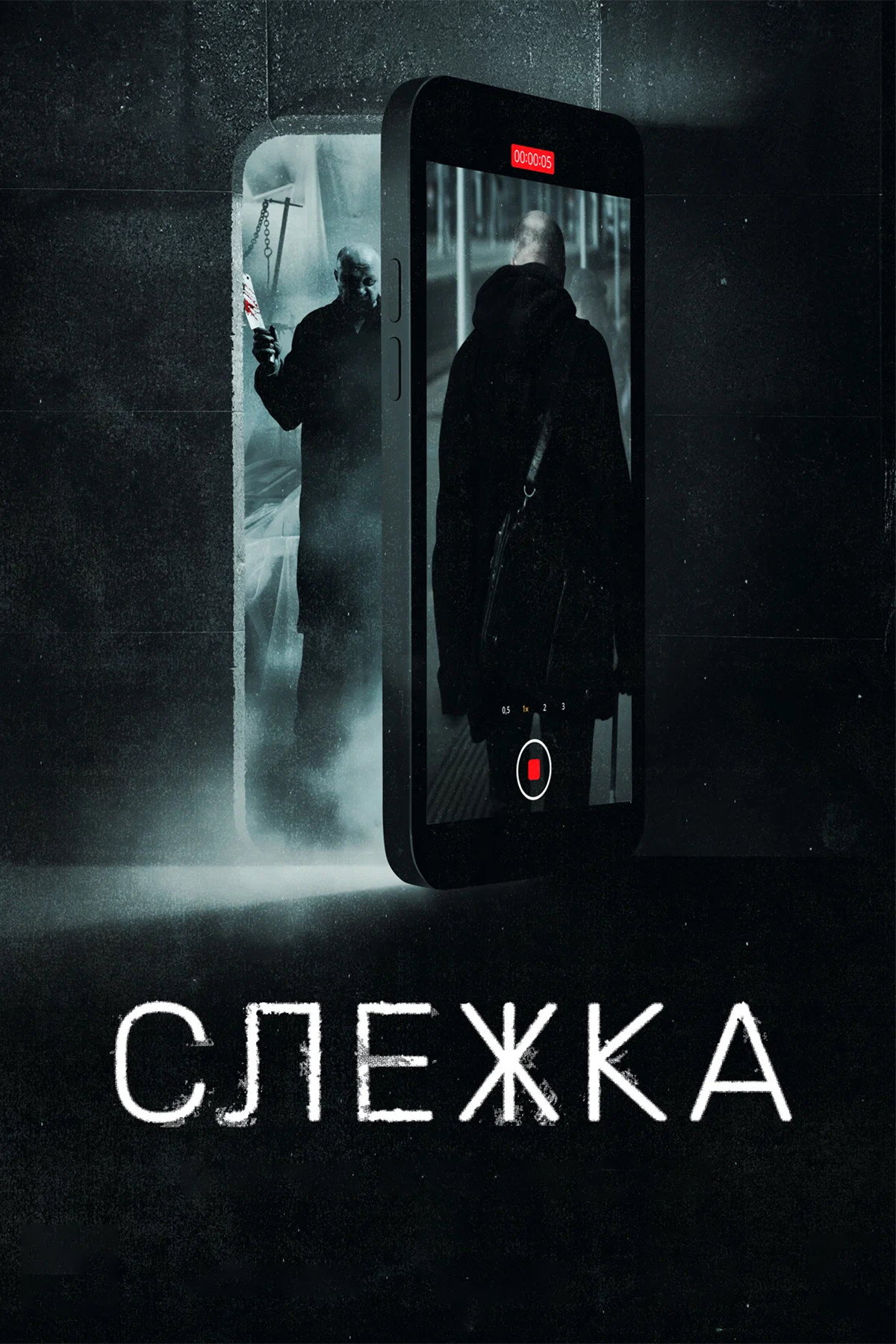 Slezhka