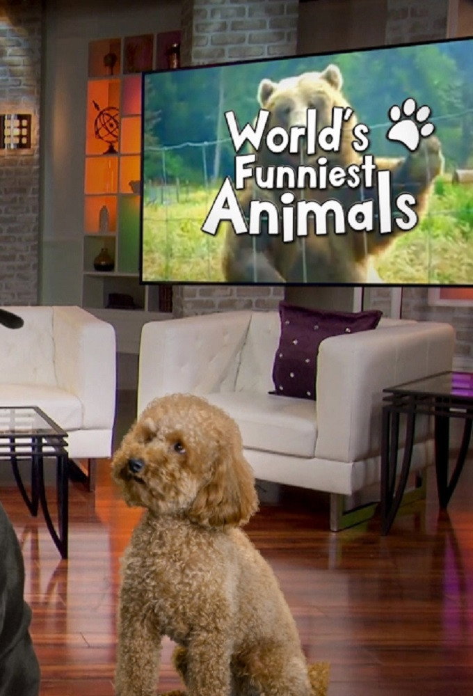 The World's Funniest Animals
