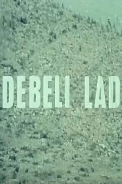 Debeli lad