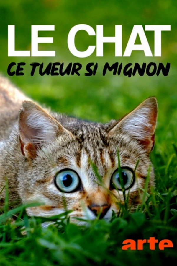 The Cat, a Cuddly Killer