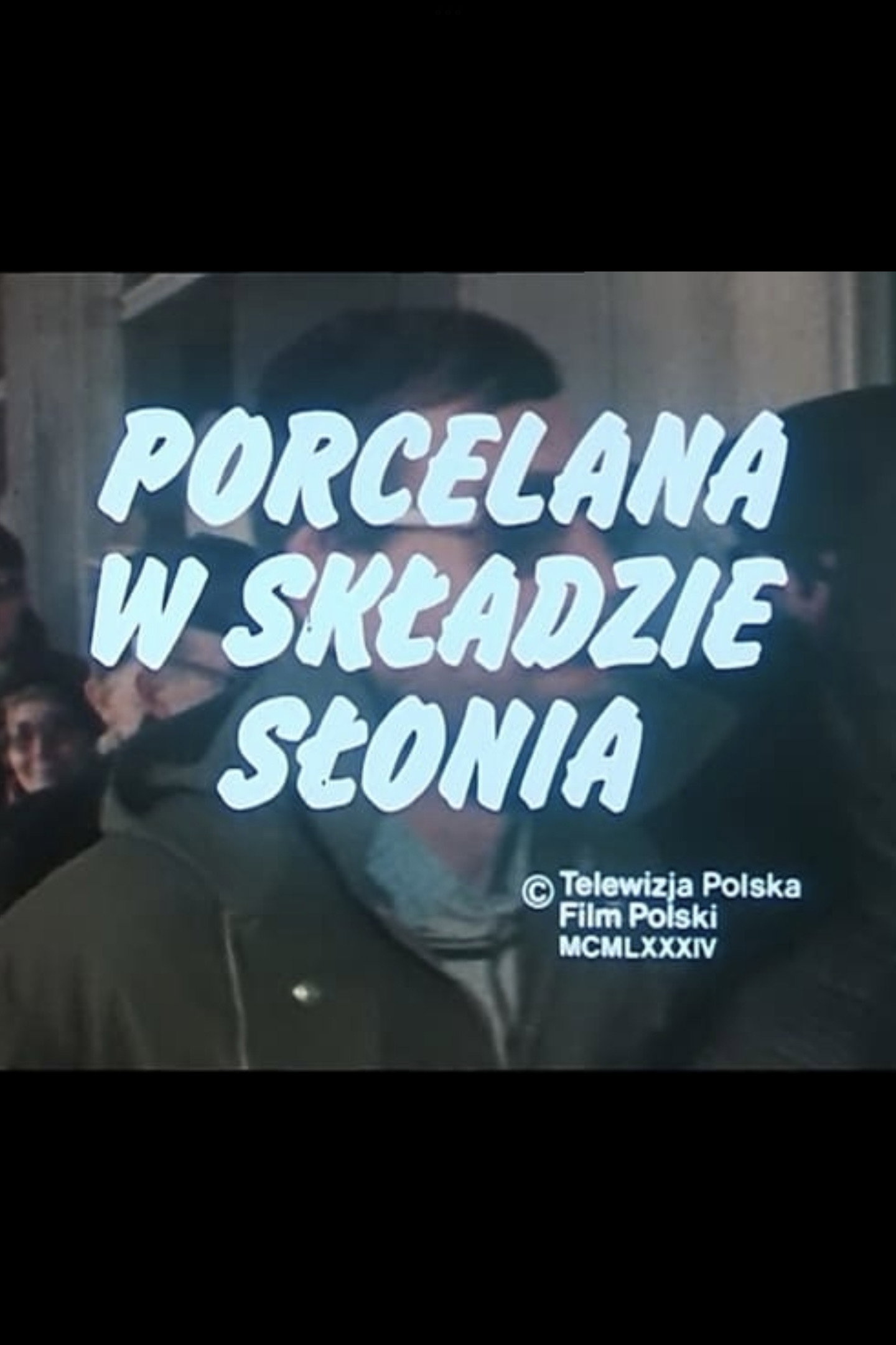 Porcelana w skladzie slonia