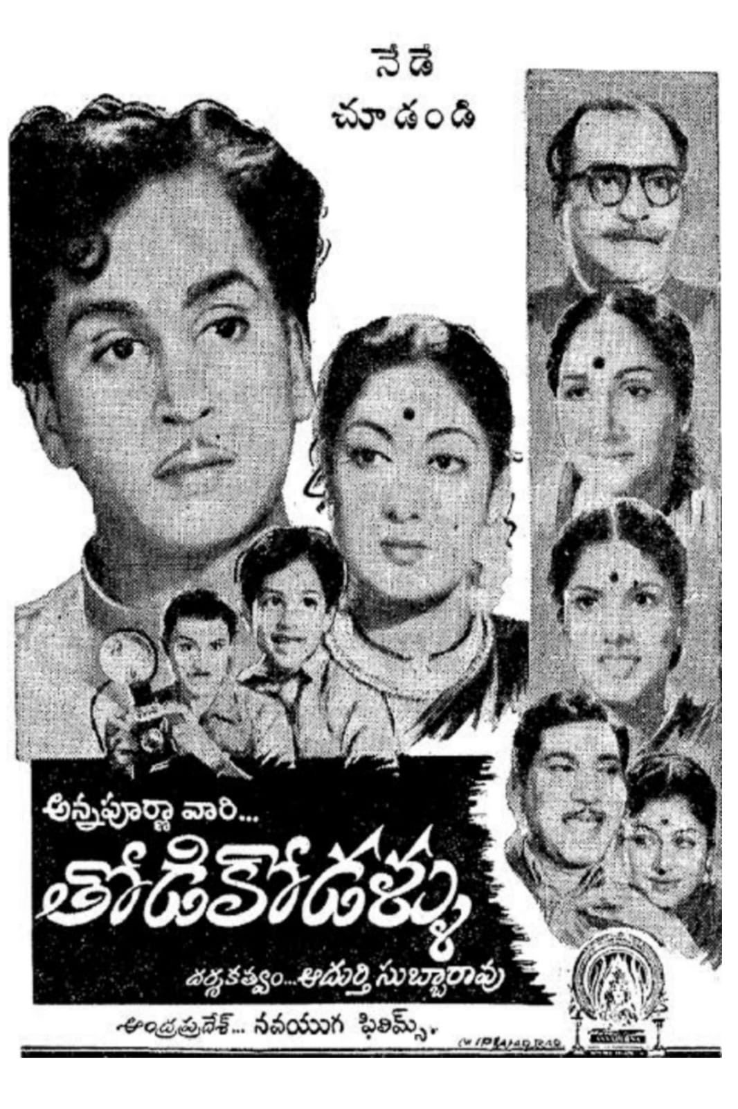 Todi Kodallu