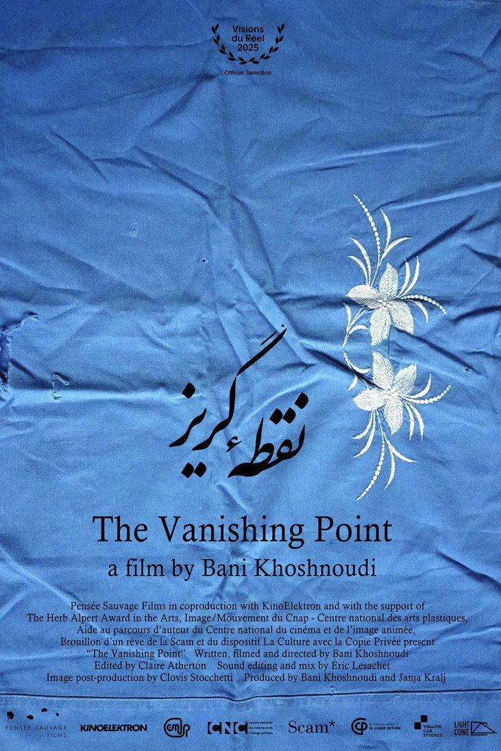 The Vanishing Point