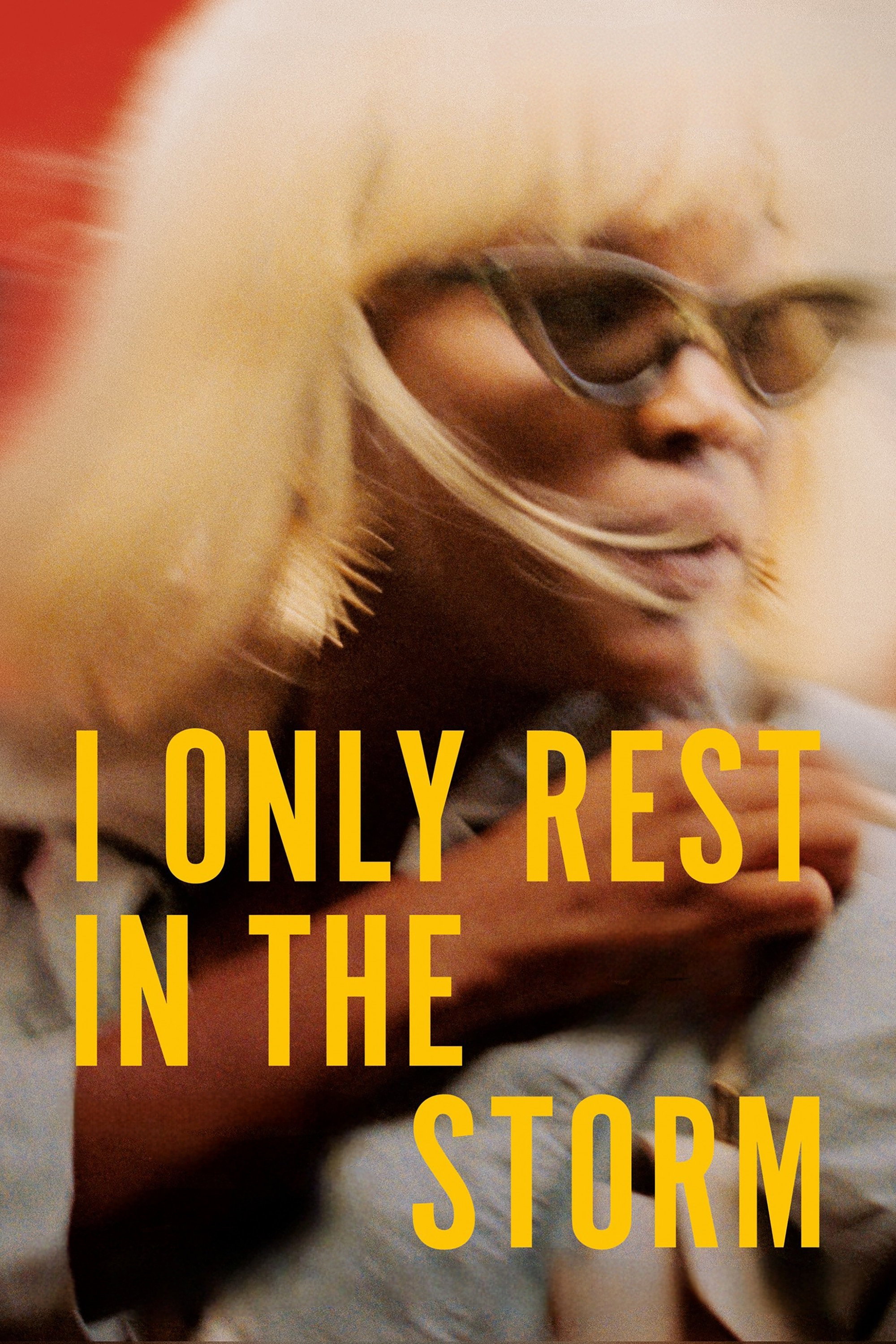 I Only Rest in the Storm