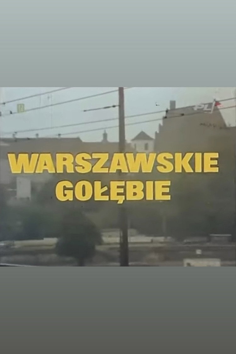 Warszawskie golebie
