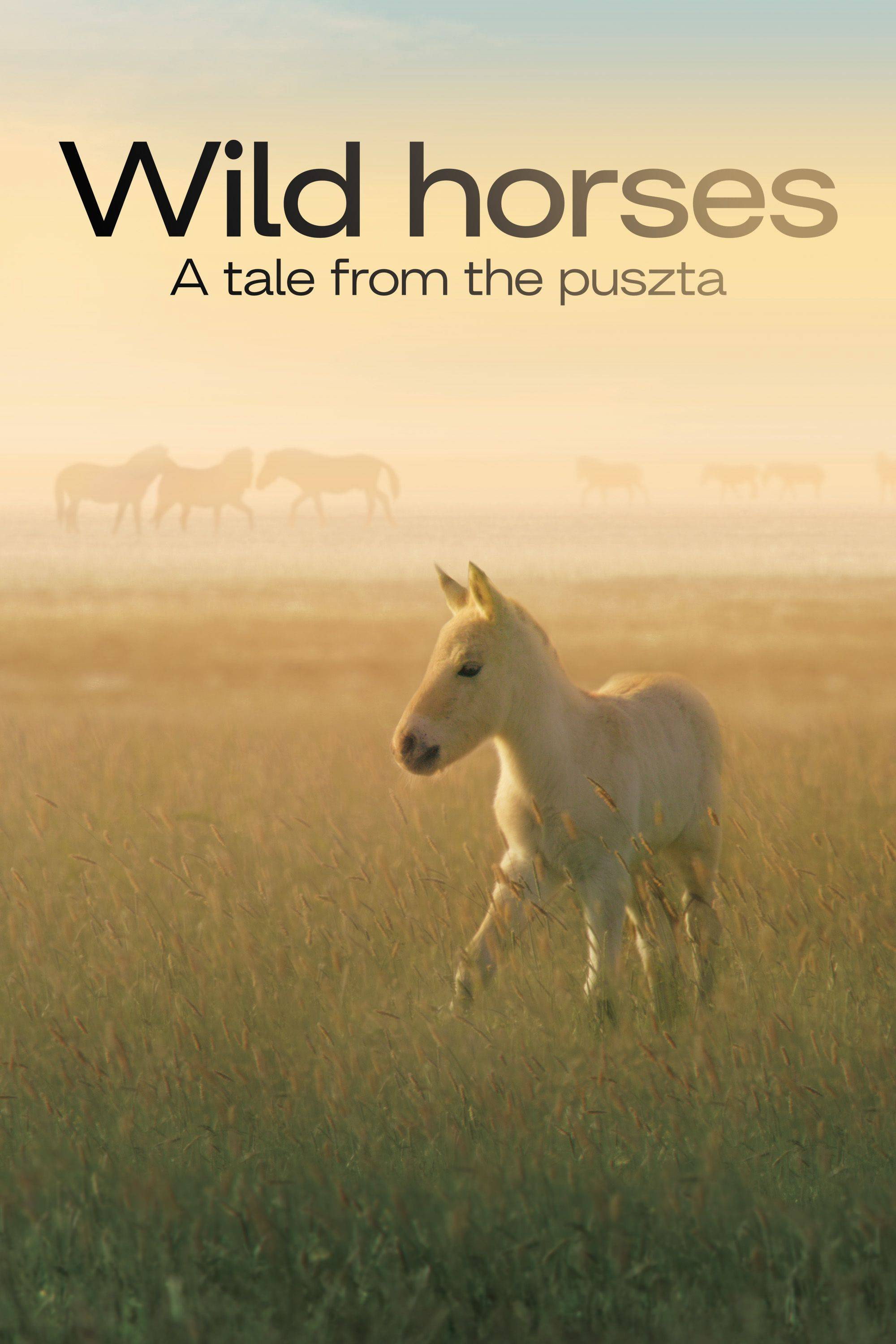 Wild Horses: A Tale from the Puszta