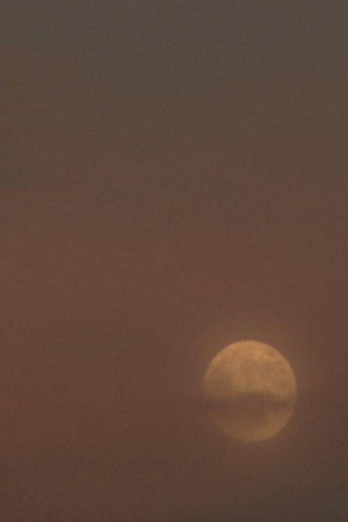 Two Moons