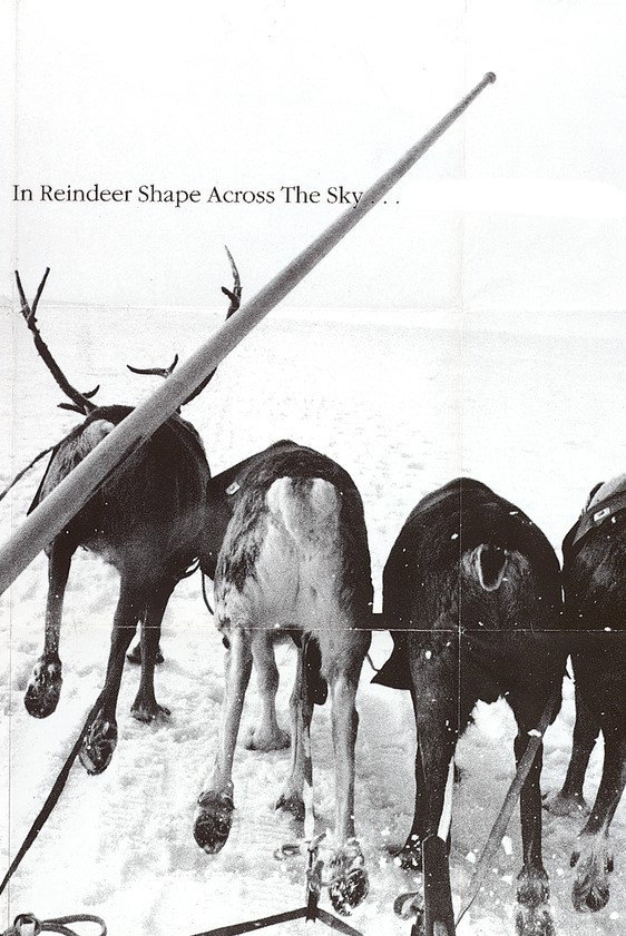 In the Shape of a Reindeer Across the Canopy of Heaven