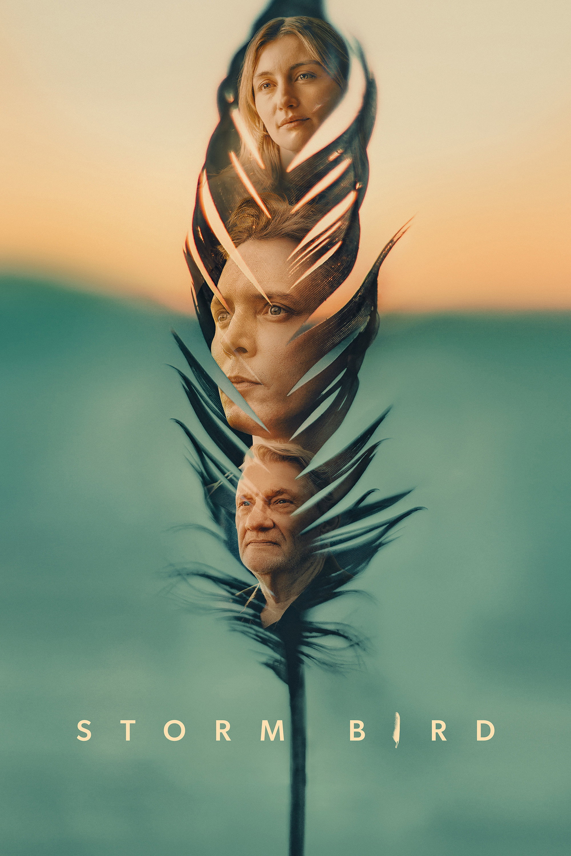 Storm Bird Poster
