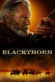 Blackthorn (2011)