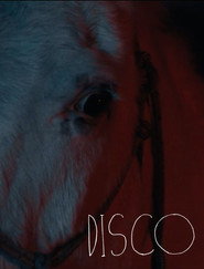 Disco (2026)