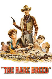 The Rare Breed (1966)