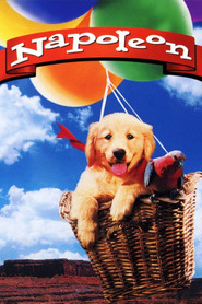 Napoleon (1995)